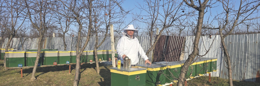 Ausbildung macht den Unterschied